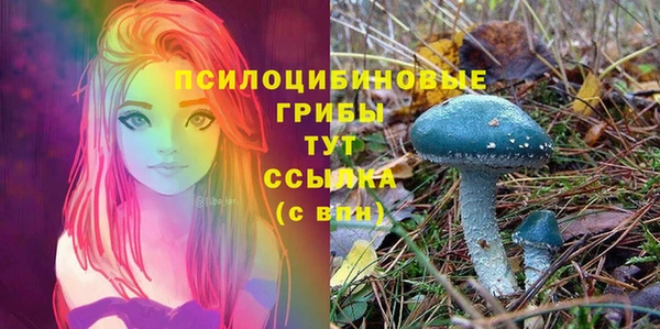 герыч Кодинск