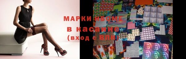 ГАЛЛЮЦИНОГЕННЫЕ ГРИБЫ Козловка