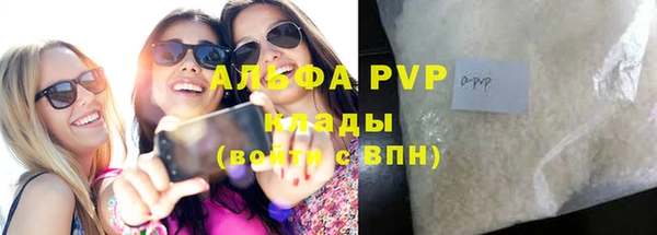 ГАЛЛЮЦИНОГЕННЫЕ ГРИБЫ Козловка