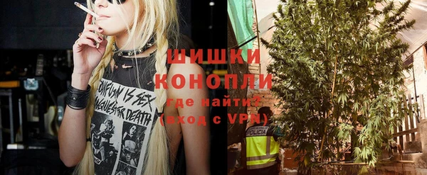 ГАЛЛЮЦИНОГЕННЫЕ ГРИБЫ Козловка