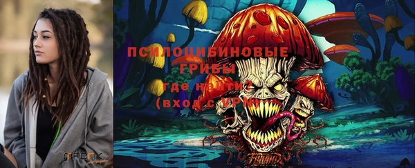 ГАЛЛЮЦИНОГЕННЫЕ ГРИБЫ Козловка