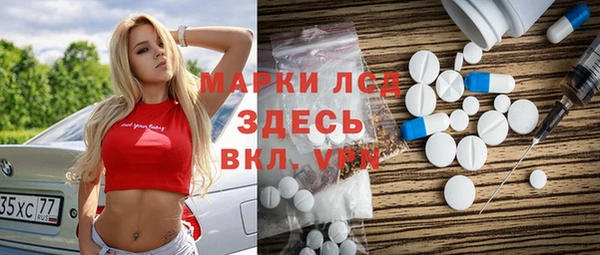 ГАЛЛЮЦИНОГЕННЫЕ ГРИБЫ Козловка