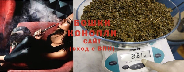ГАЛЛЮЦИНОГЕННЫЕ ГРИБЫ Козловка