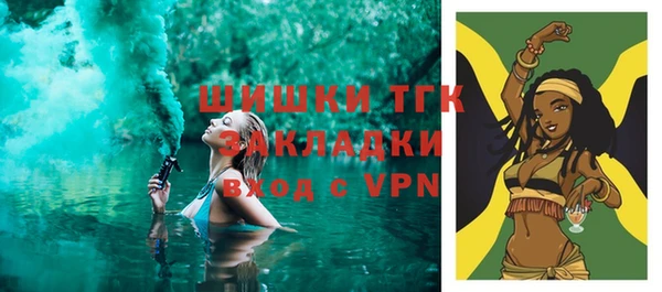 ГАЛЛЮЦИНОГЕННЫЕ ГРИБЫ Козловка