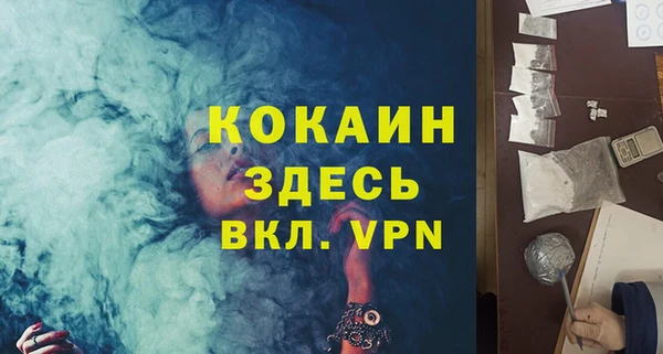 ГАЛЛЮЦИНОГЕННЫЕ ГРИБЫ Козловка