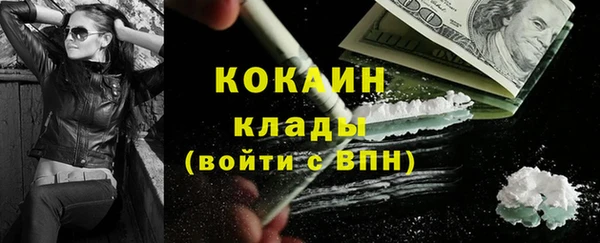 шишки Нижний Тагил