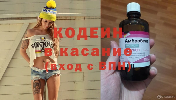 ГАЛЛЮЦИНОГЕННЫЕ ГРИБЫ Козловка