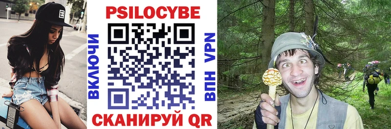 Псилоцибиновые грибы GOLDEN TEACHER  Купить  Зеленогорск 